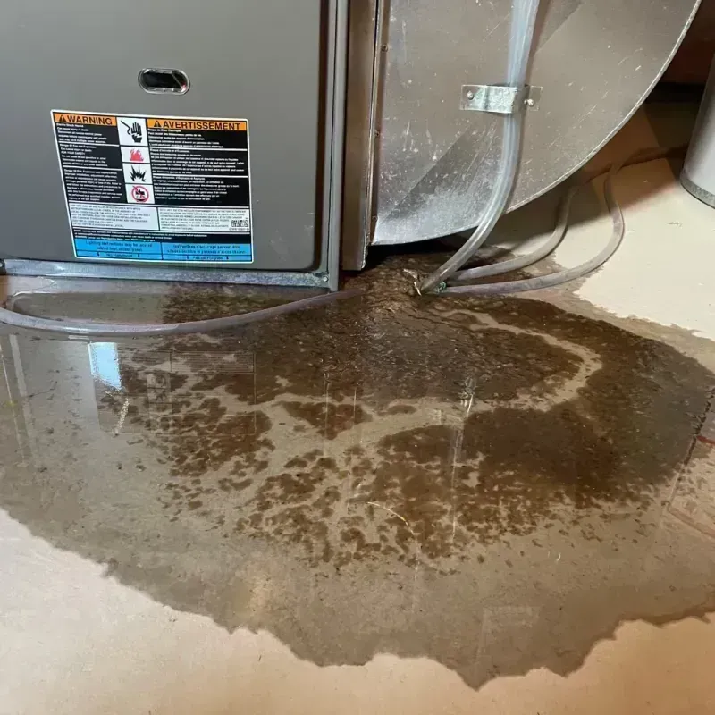 Appliance Leak Cleanup in Saint Clair, MO